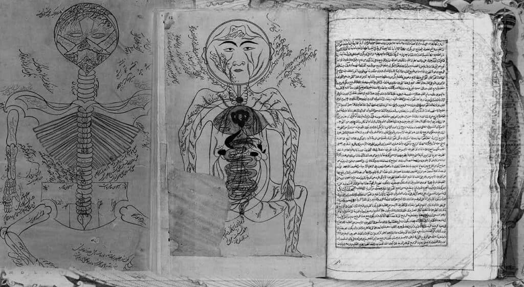 Avicenna’s The Canon of Medicine